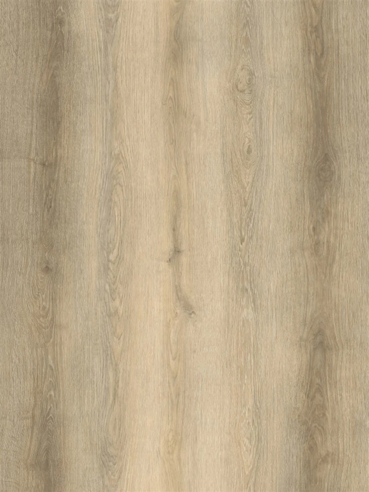 XL1001-19