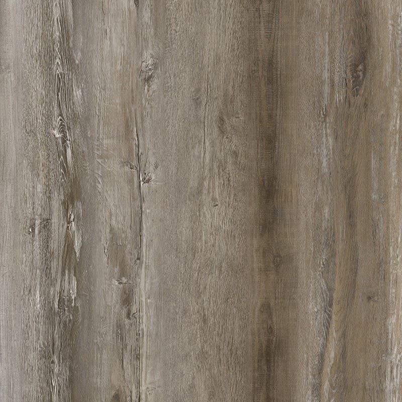 XL1012-11